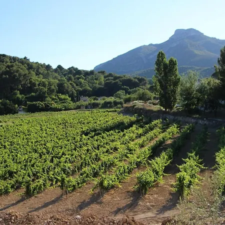 L'adri Entre Vignes Et Collines *